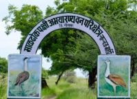 Great Indian Bustard Sanctuary