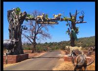 chandoli-national-park-main-gate