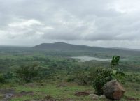 dandoba-hills-forest